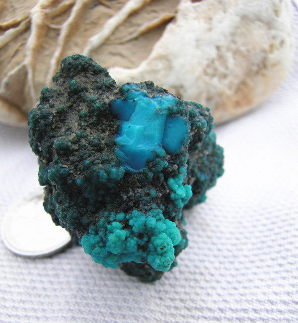 首页- Z6官网中国区人生就是博