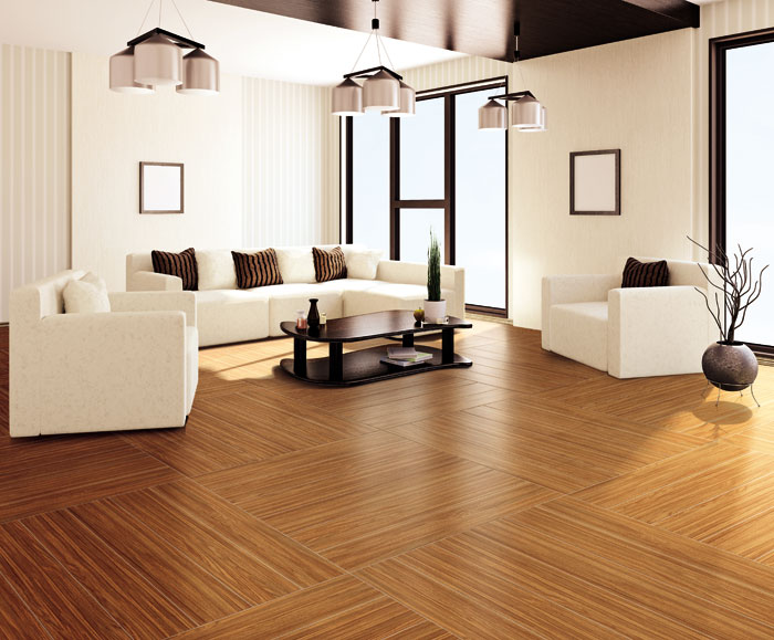 最美，不外当阳光赶上丛林