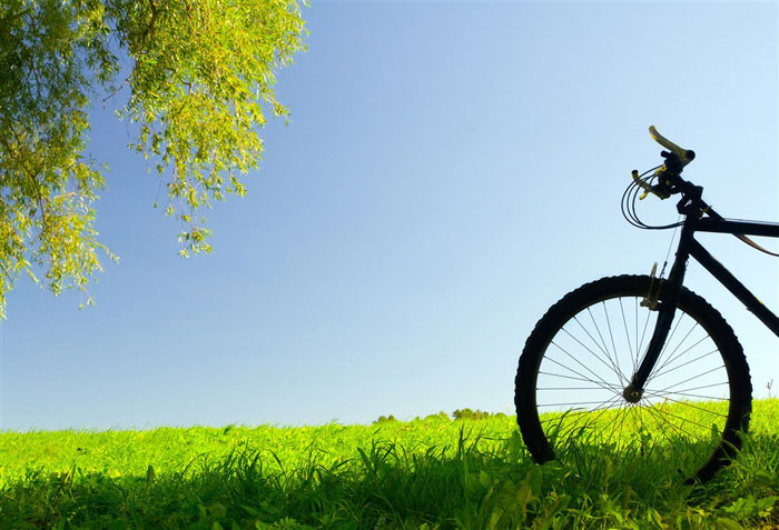 即就是东风十里，依然不如你