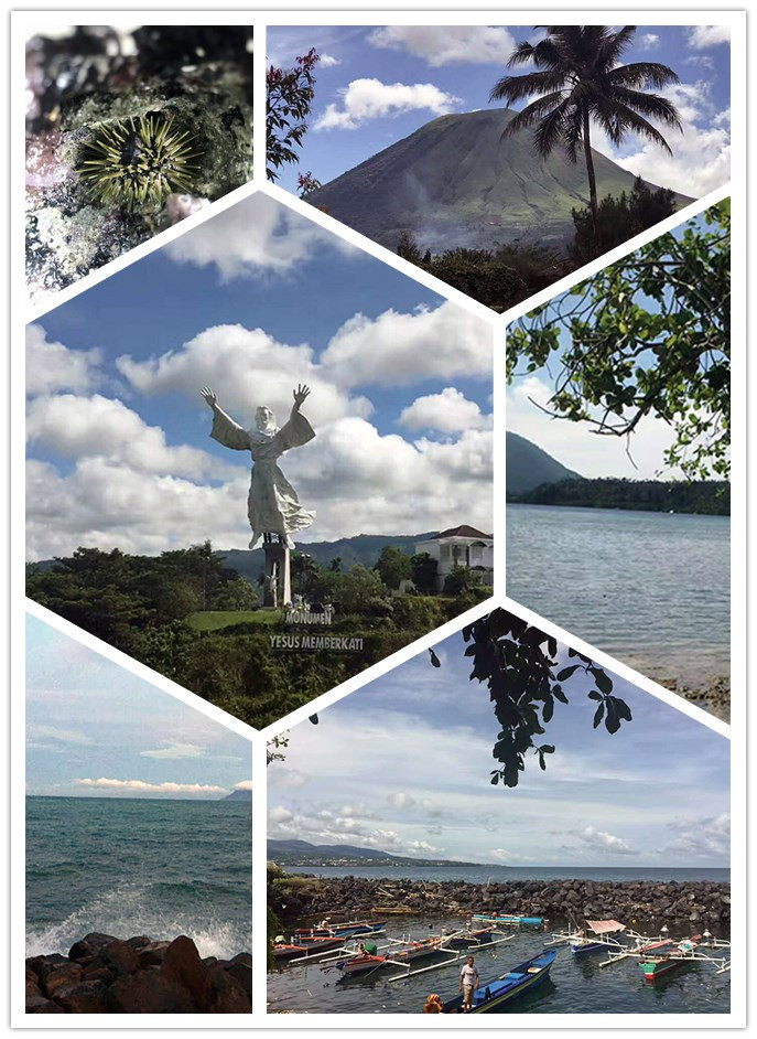 首页- Z6官网中国区人生就是博