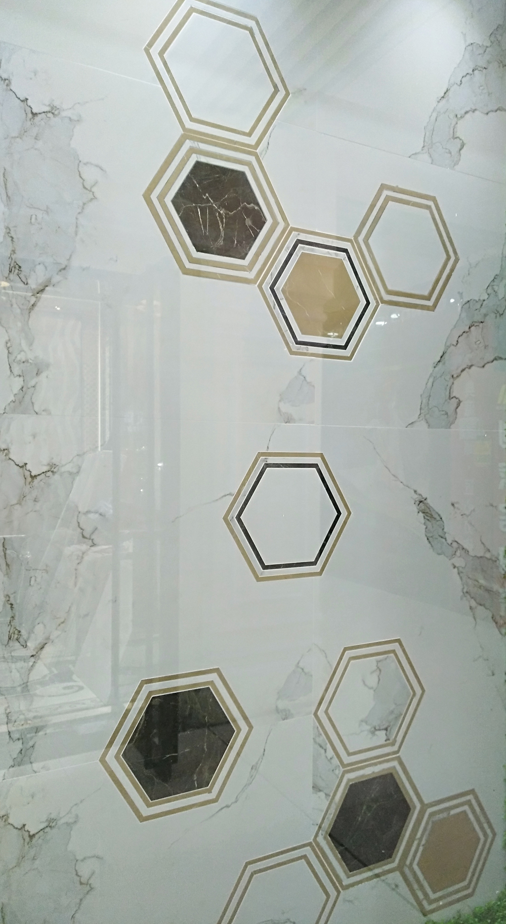 首页- Z6官网中国区人生就是博