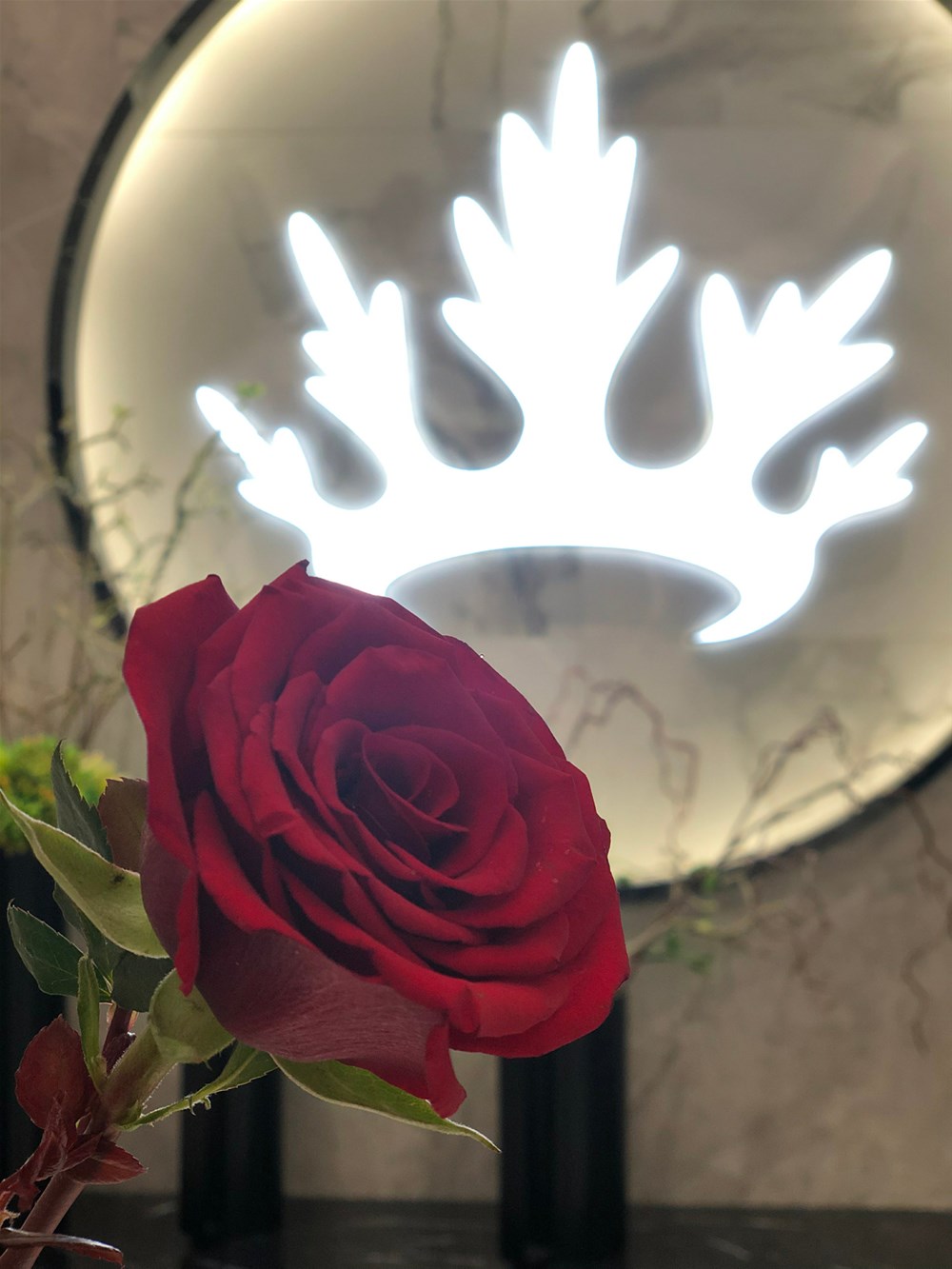 首页- Z6官网中国区人生就是博