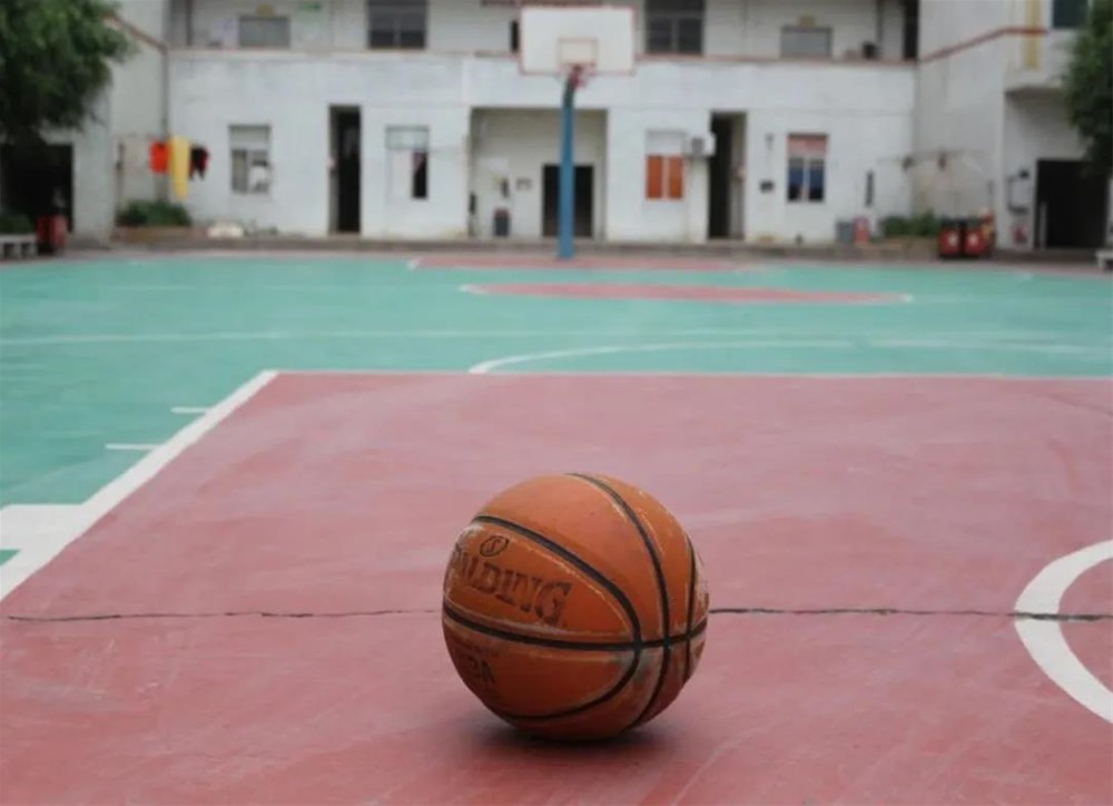 首页- Z6官网中国区人生就是博