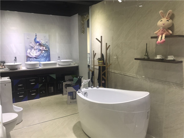 Z6官网汕头潮阳青春馆